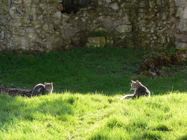 En famille à Jumièges